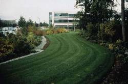 GeoBlock Porous Paver Fire Lane Microsoft Campus Bellevue WA